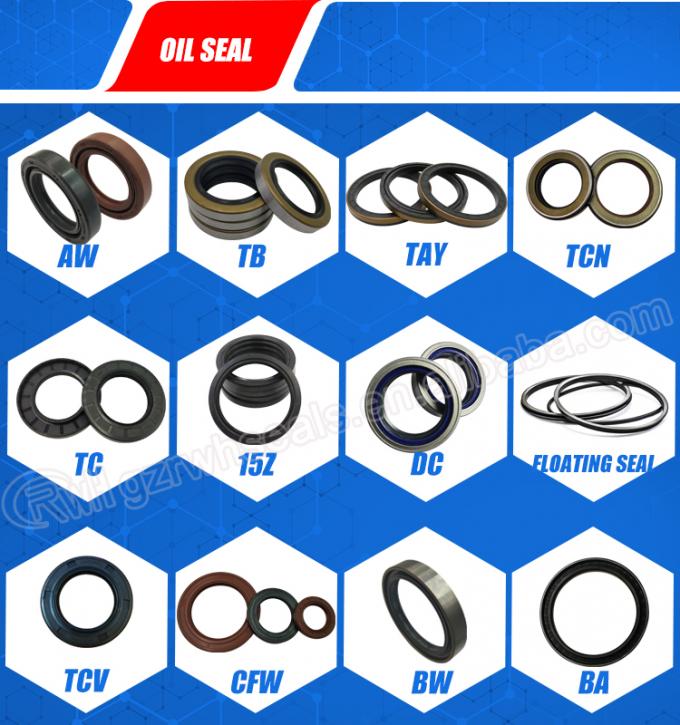 Double Lip CFW Oil Seal FKM Material High Temperature Resistance