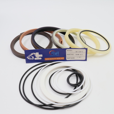 Excavator Boom Cylinder Seal Kits 2440 9234KT For Daewoo DH220 5
