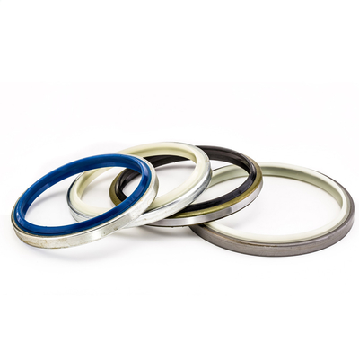Mechanical Hydraulic Dust Seal DKB DLI DLW For Machinery Repair Shops